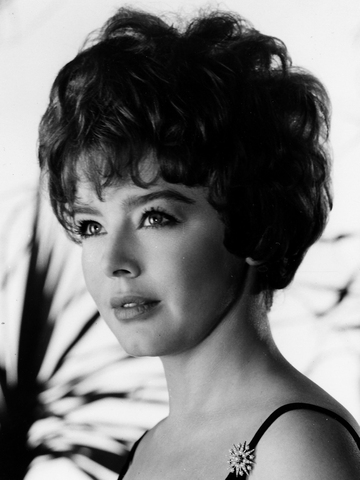Janet Munro Headshot
