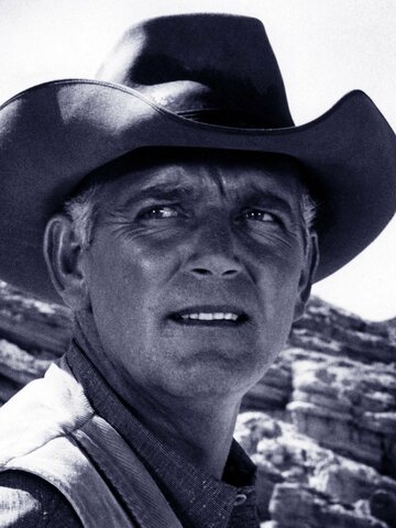 Terry Wilson Headshot