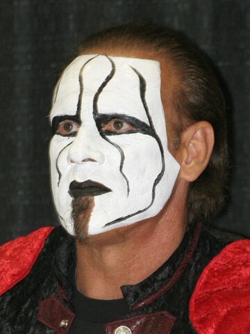 Sting Headshot
