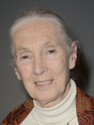 Jane Goodall Headshot