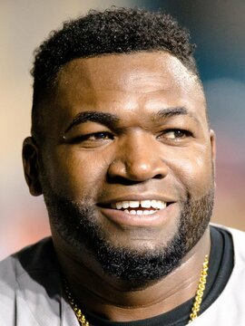 David Ortiz Headshot