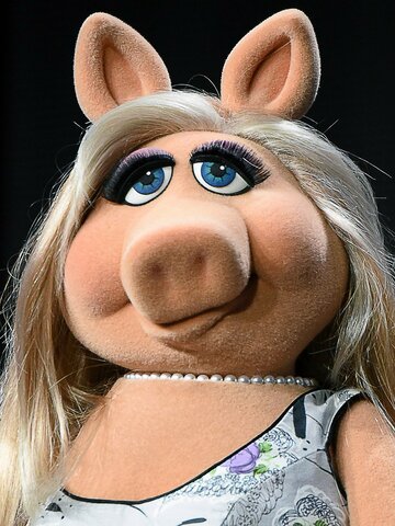 Miss Piggy Headshot