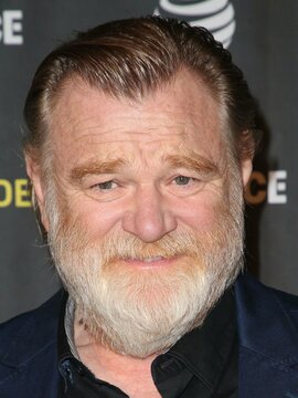 Brendan Gleeson Headshot