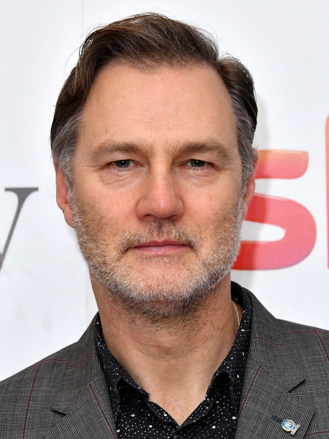 David Morrissey Young