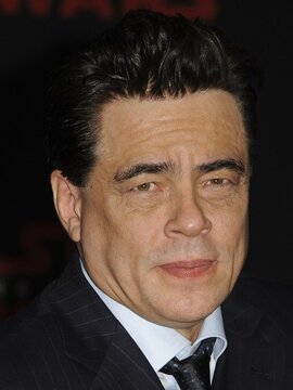 Benicio del Toro Headshot