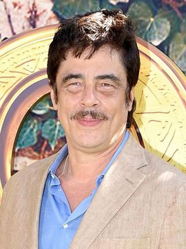 Benicio del Toro