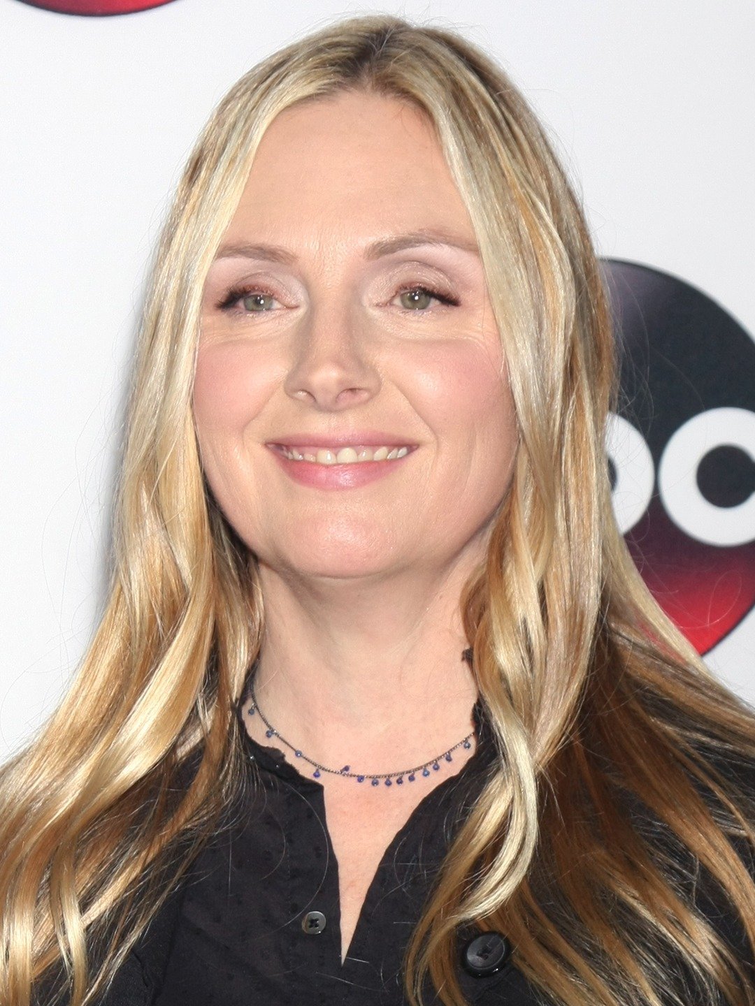 Hope Davis Actress