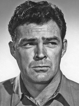 Don Megowan