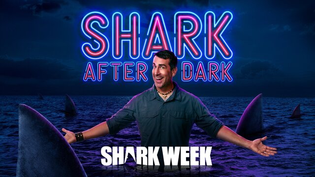 Shark After Dark key art