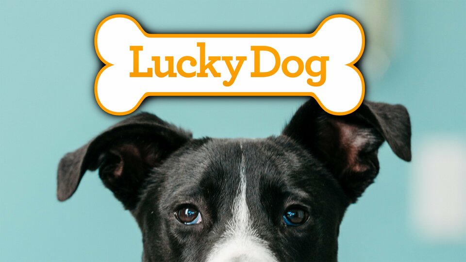 Lucky Dog - CBS