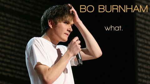 Bo Burnham: what.