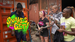 Snakes in the City