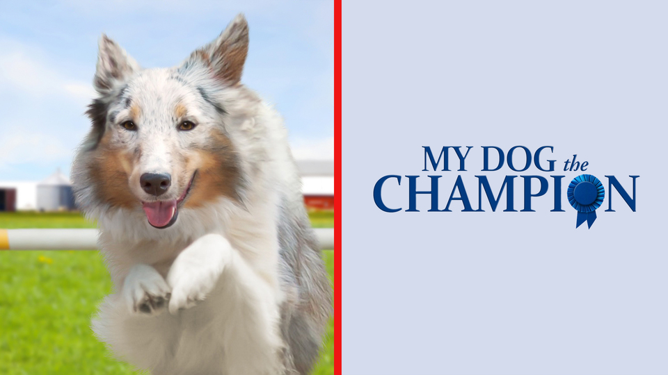 My Dog the Champion - 