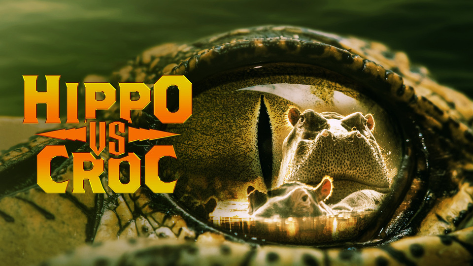Hippo vs Croc - 