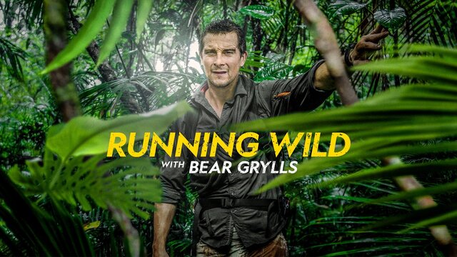 Running Wild with Bear Grylls key art