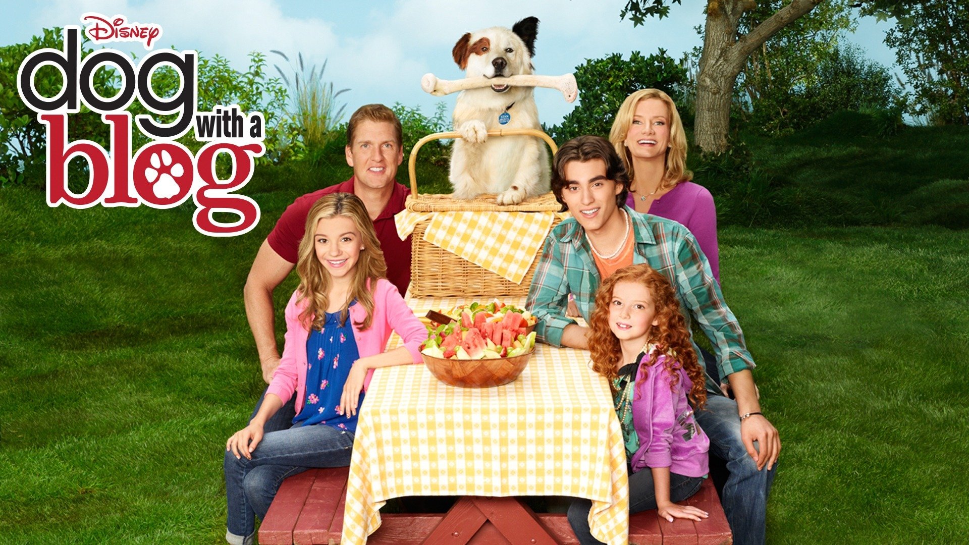 Dog With A Blog Disney Channel Series Where To Watch   P10995900 B H10 Ab 