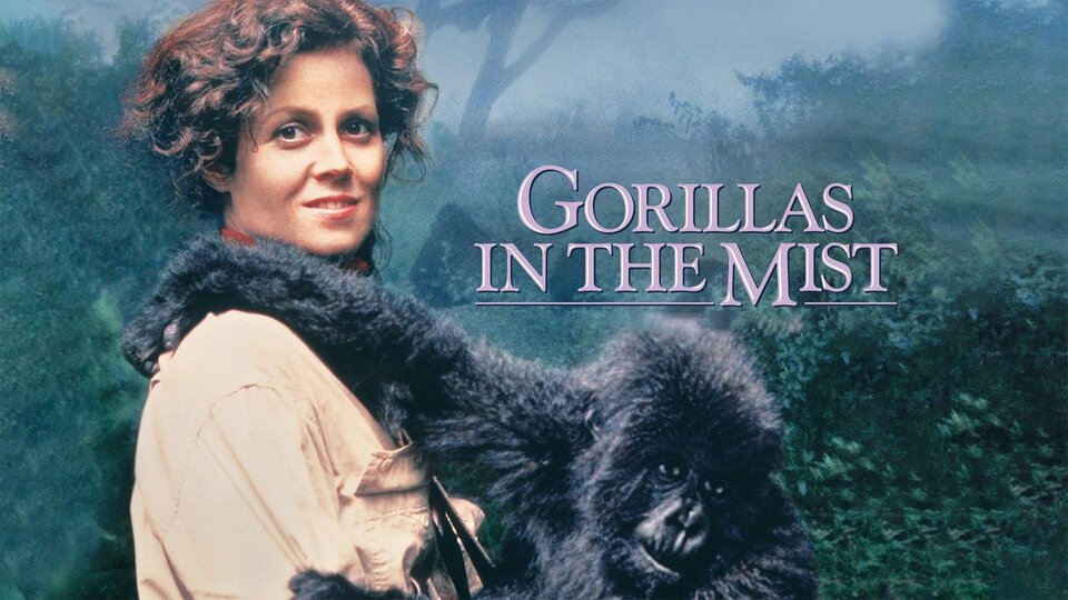 Gorillas in the Mist - 