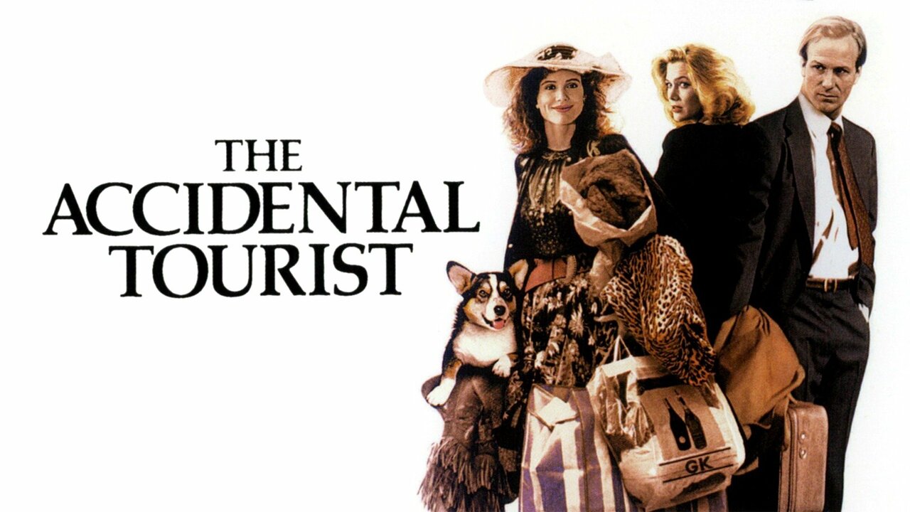 what is the accidental tourist about