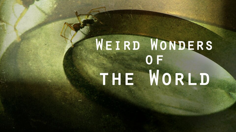 Weird Wonders of the World - 