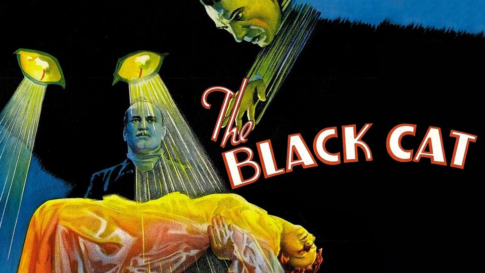 The Black Cat - 