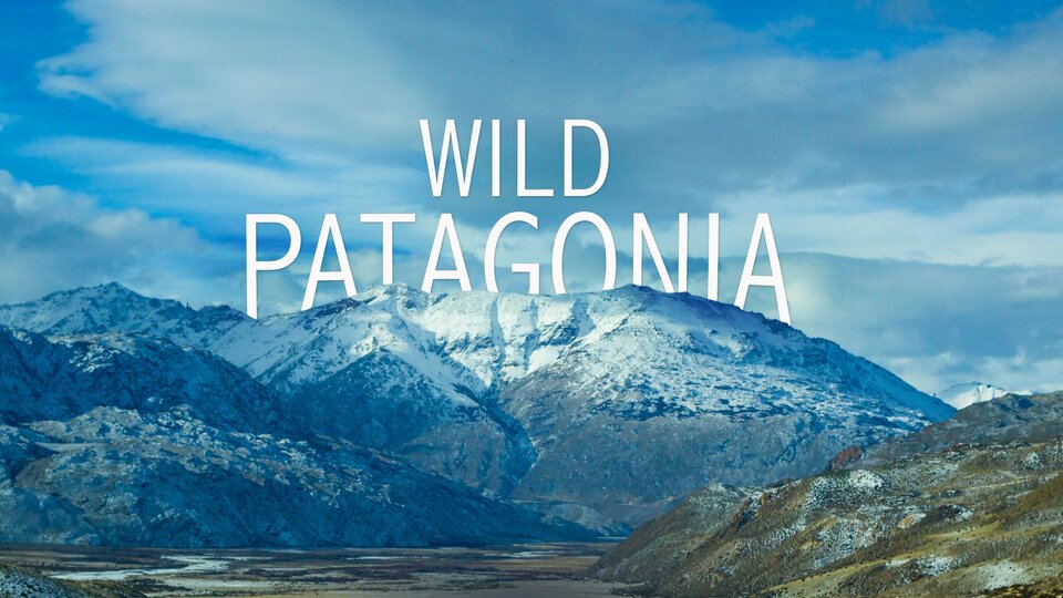 Wild Patagonia - 