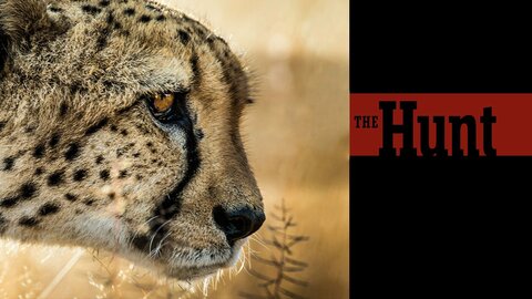The Hunt (2015)