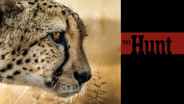 The Hunt (2015) key art