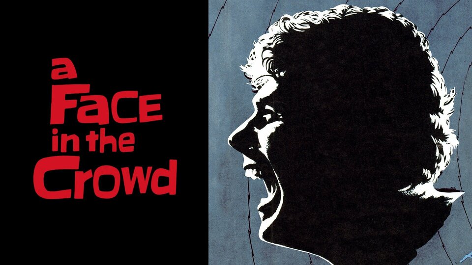 A Face in the Crowd - 
