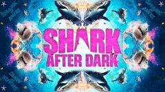 Shark After Dark - Discovery Channel