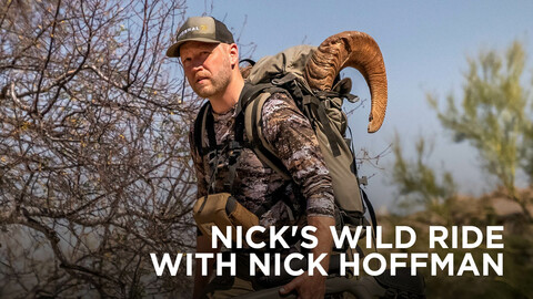 Nick's Wild Ride