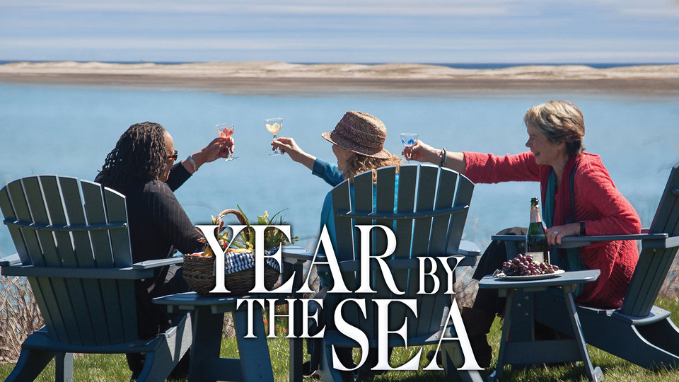 Year by the Sea - 