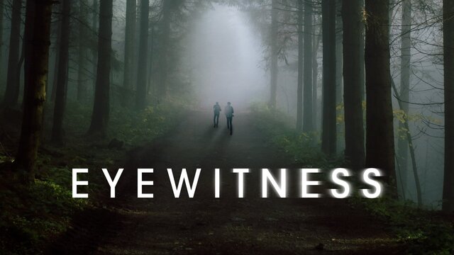 Eyewitness (2016) key art