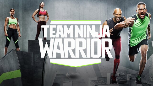 Team Ninja Warrior key art