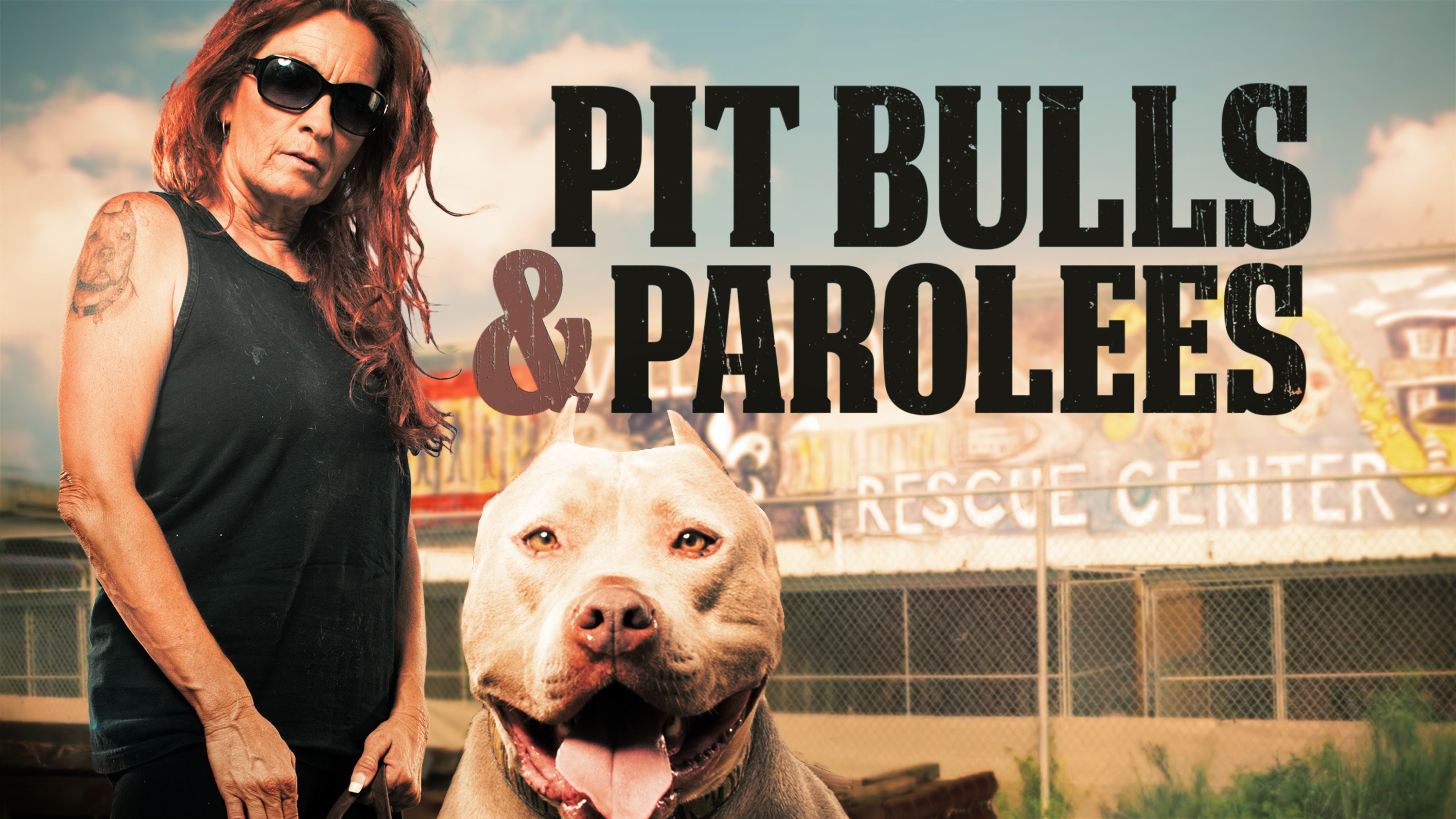 Pitbulls and hot sale parolees adoption