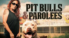 Pit Bulls and Parolees - Animal Planet