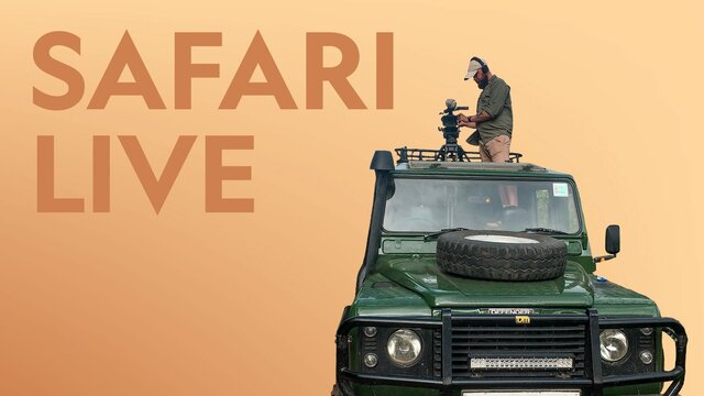 Safari Live key art