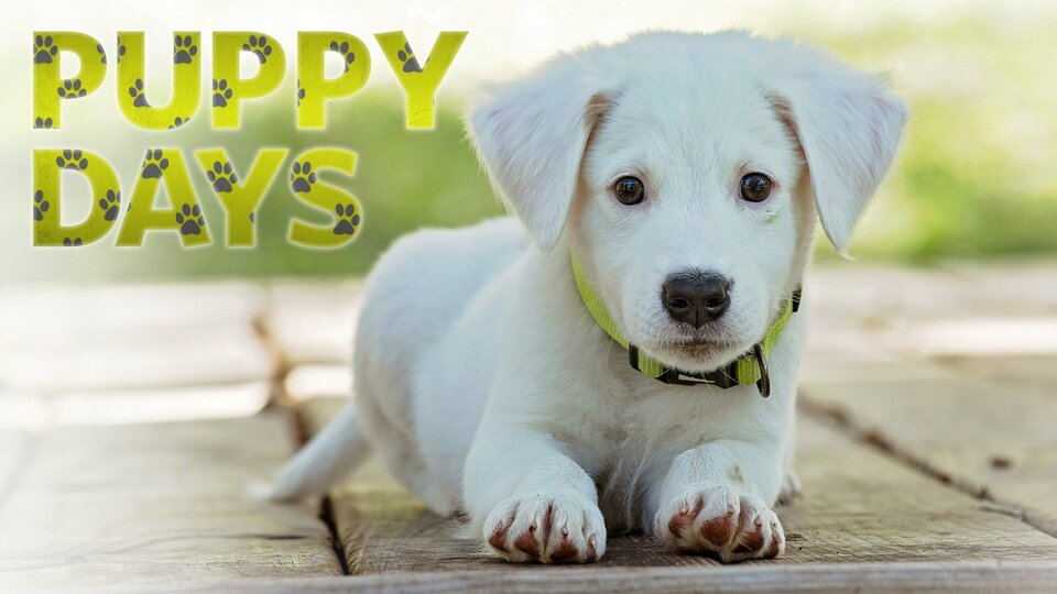 Puppy Days - Nat Geo Wild