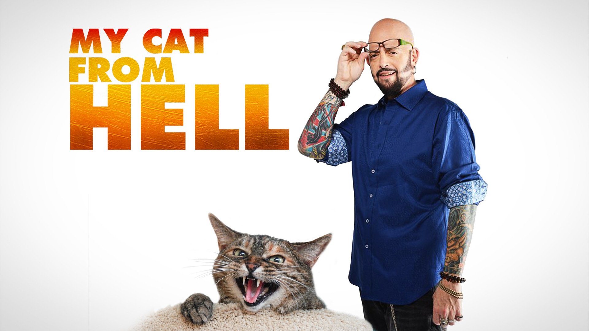 Animal planet best sale jackson galaxy