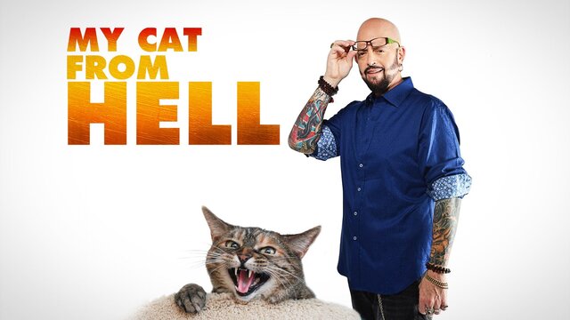 My Cat From Hell key art
