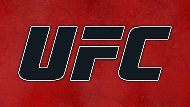 UFC key art