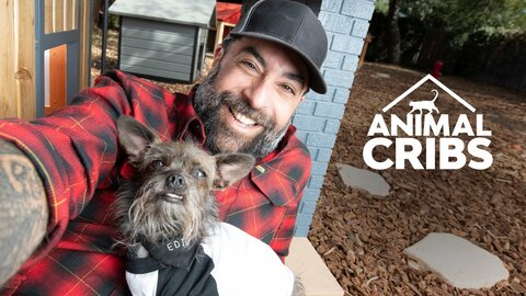 Animal Planet - Newest & Best Shows Animal Planet - Newest & Best Shows