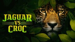 Jaguar vs. Croc - Nat Geo