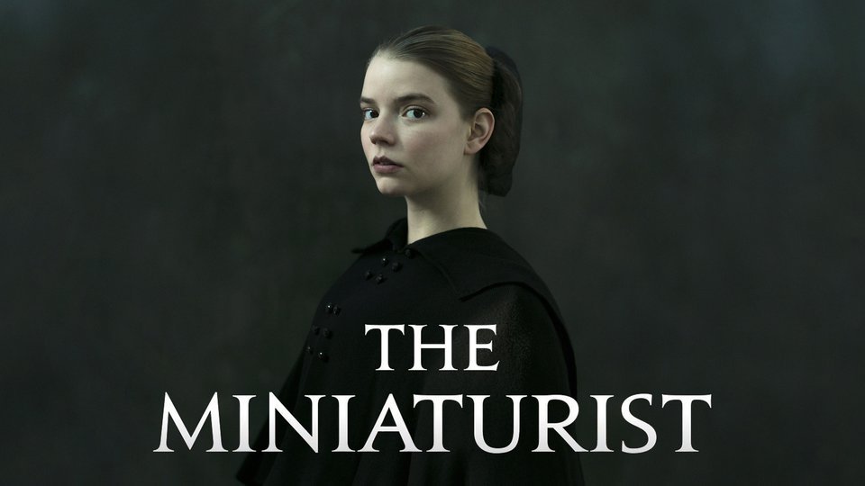 summary of the miniaturist