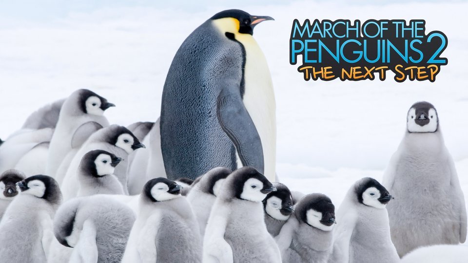 13 Amazing (and Adorable) Photos From Hulu's 'March of the Penguins 2 - March Of The Penguins 2 The Next Step