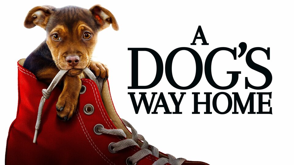 A Dog's Way Home - 