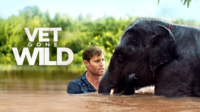 Vet Gone Wild key art
