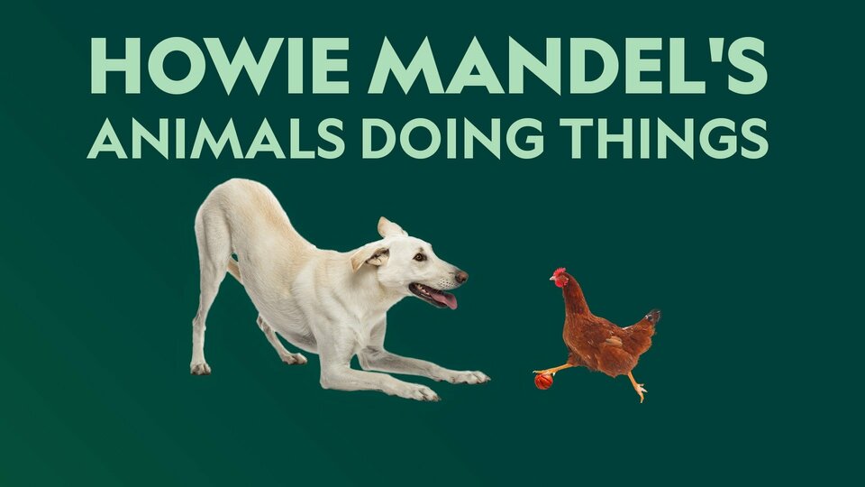 Howie Mandel's Animals Doing Things - Disney+