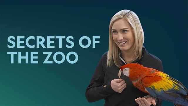 Secrets of the Zoo key art