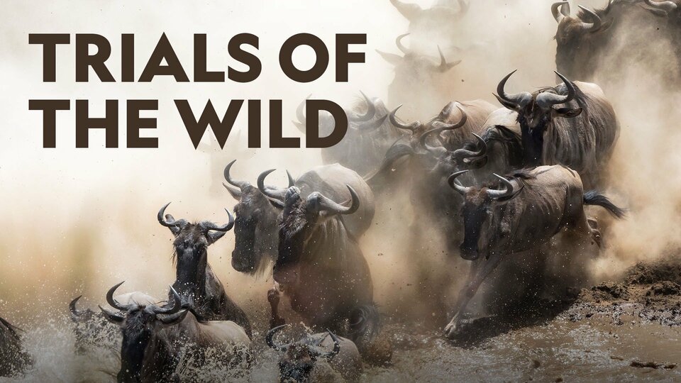 Trials of the Wild - Nat Geo Wild