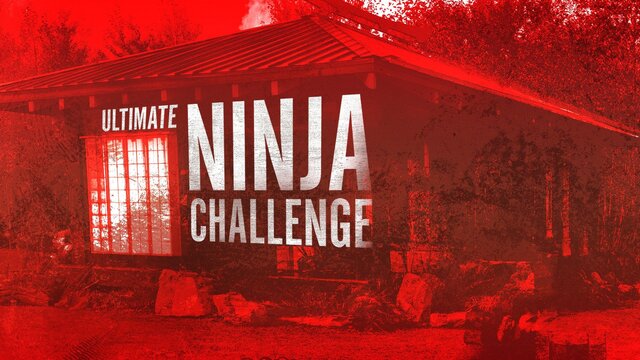 Ultimate Ninja Challenge key art